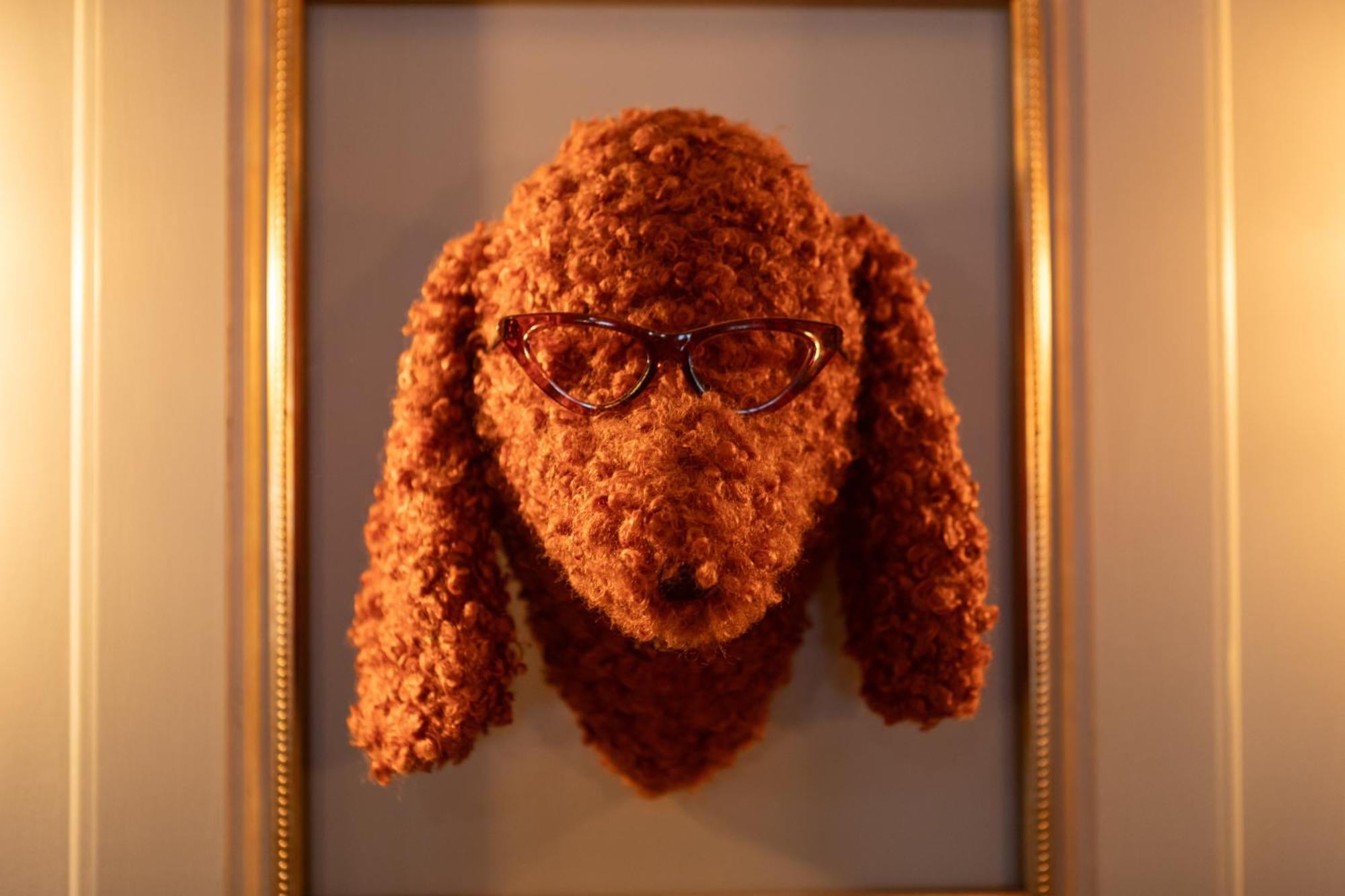 Mount Edgcumbe Bed & Breakfast Royal Tunbridge Wells Exterior photo A taxidermy dog head mounted on a wall